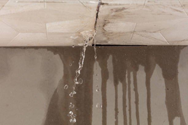 Professional Water Damage Inspection technician working in Hilliard, FL